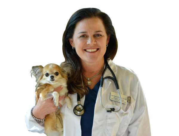 Female vet holding a little dog