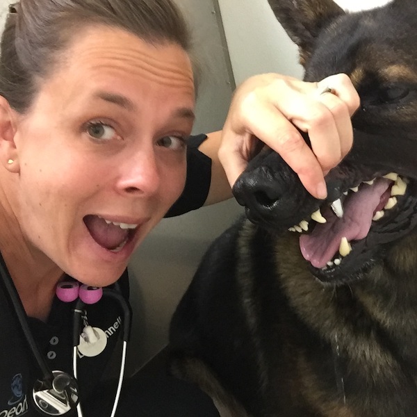 Dr. Donnell Hansen with a German Shepherd