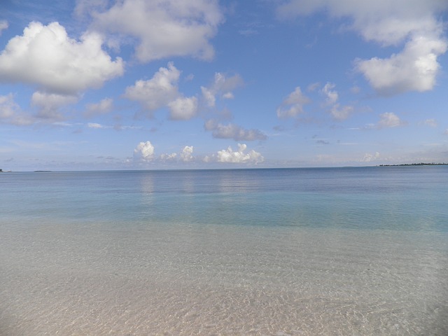 Atlantis Bahamas Paradise Island - VetVacation CE 2025