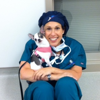 Dr. Lysa Posner with a chihuahua