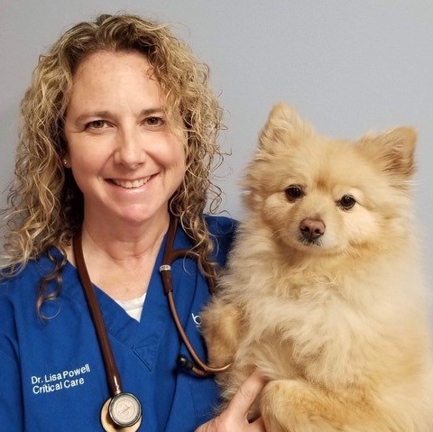 Dr. Lisa Powell with a dog