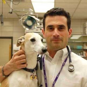 Dr. Mark Acierno with a Greyhound