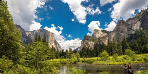 Yosemite National Park Vet Conference 2023