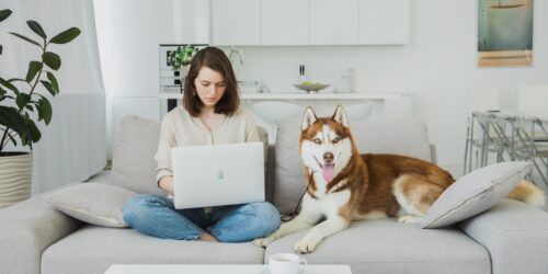 Online Veterinary Conference 2023