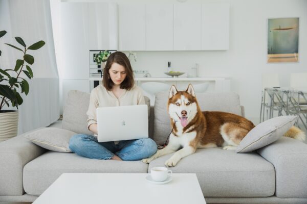 Online Veterinary Conference 2023