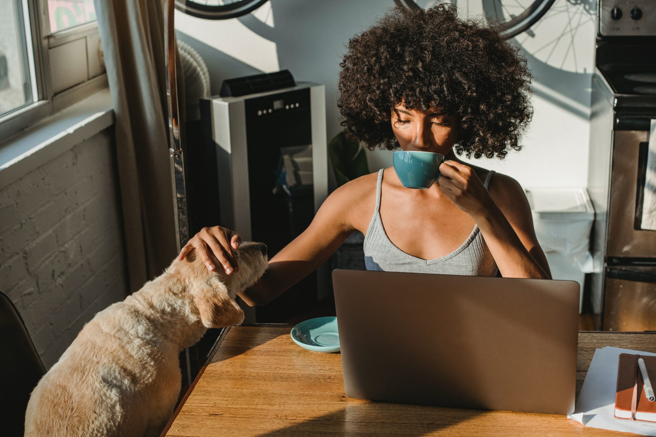 online veterinary conference 2023