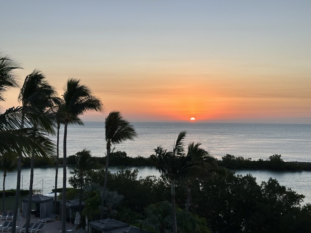 Vet Conference 2024Florida Keys Hawks Cay February 2025 VetVacation CE