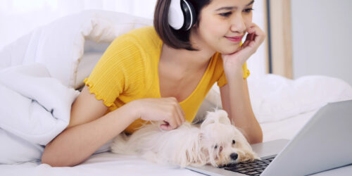 online maltese
