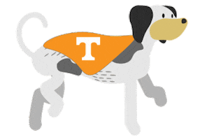 UT dog walking