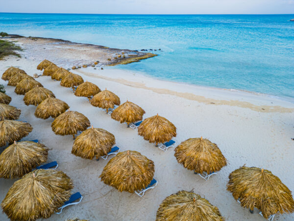 PalapasandBeachdrone aruba
