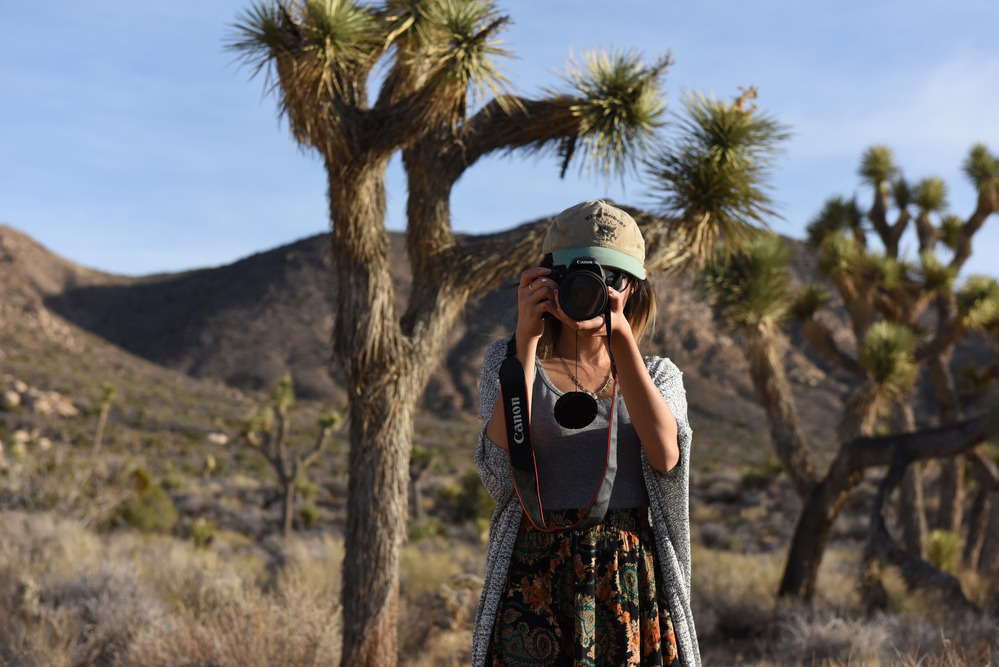 Palm Springs Joshua Tree National Park CA 2027 - Image 7