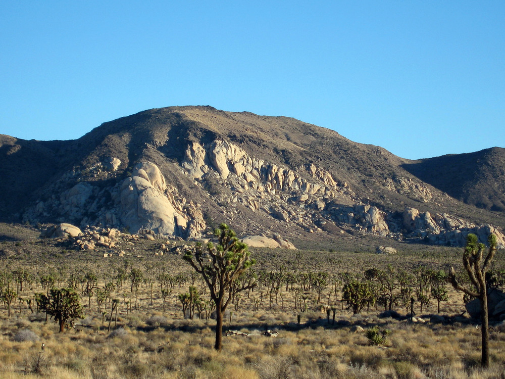 Palm Springs Joshua Tree National Park CA 2027 - Image 8