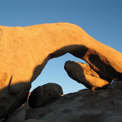 Palm Springs Joshua Tree National Park CA 2027 - Image 5