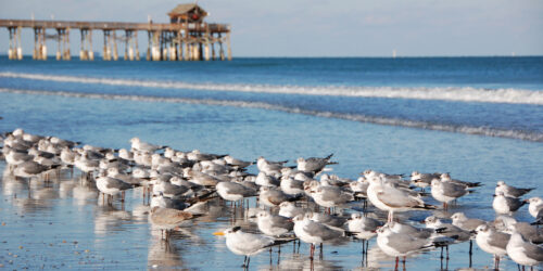 Cocoa Beach - NASA Kennedy Space Center FL 2027