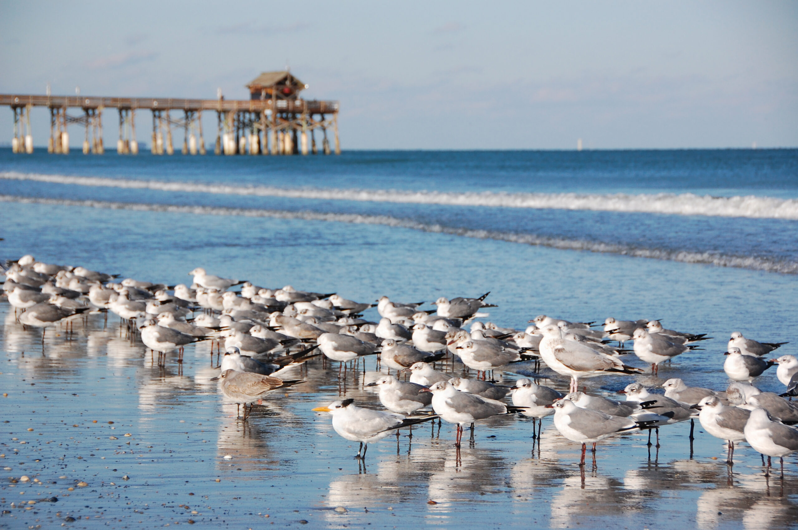 Cocoa Beach - NASA Kennedy Space Center FL 2027